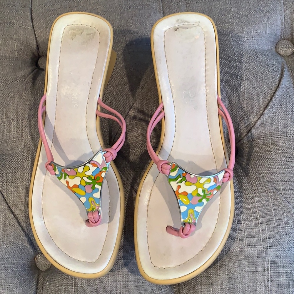 Colorful wedges